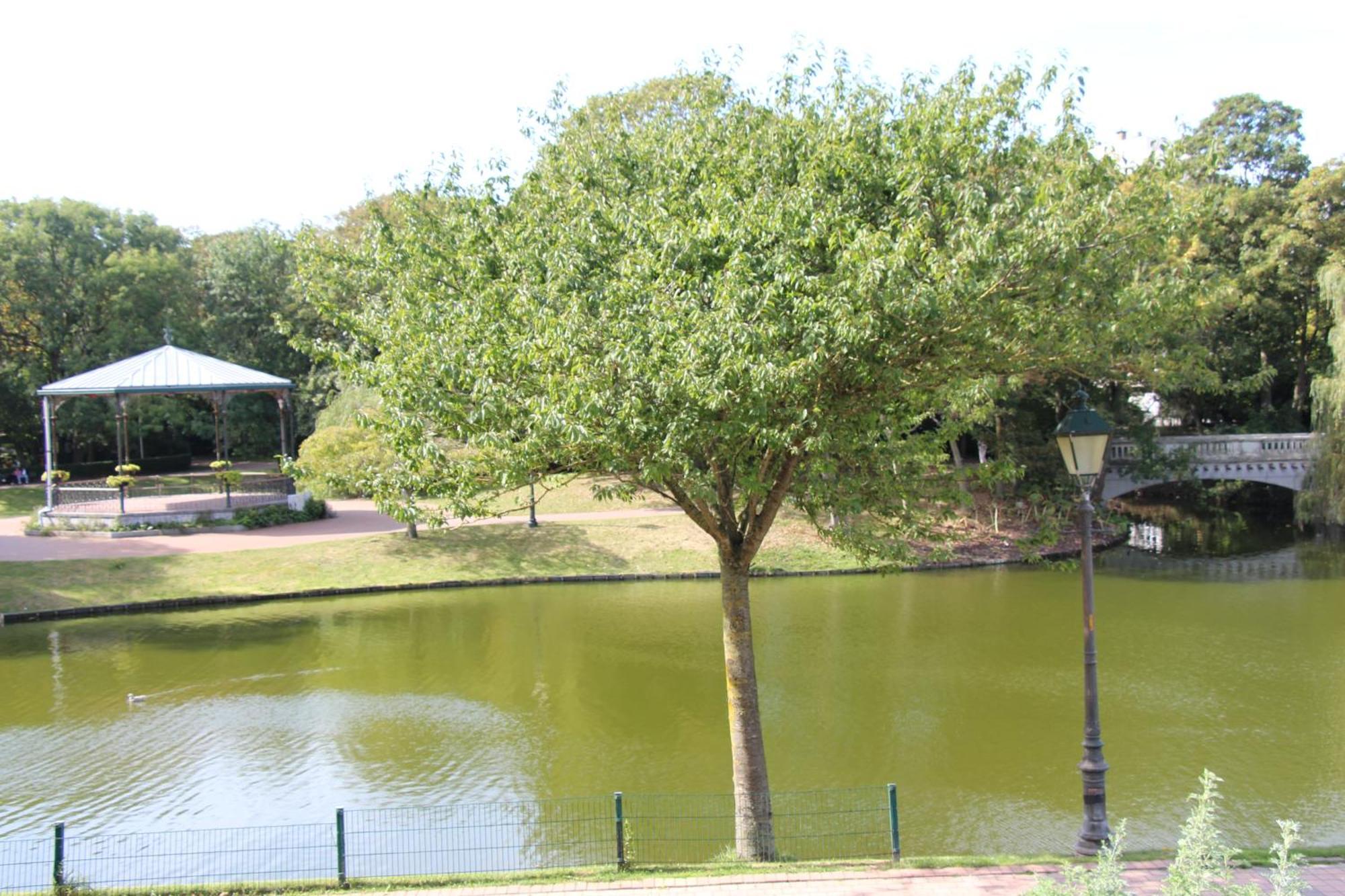 אוסטנדה Marina Mercator מראה חיצוני תמונה